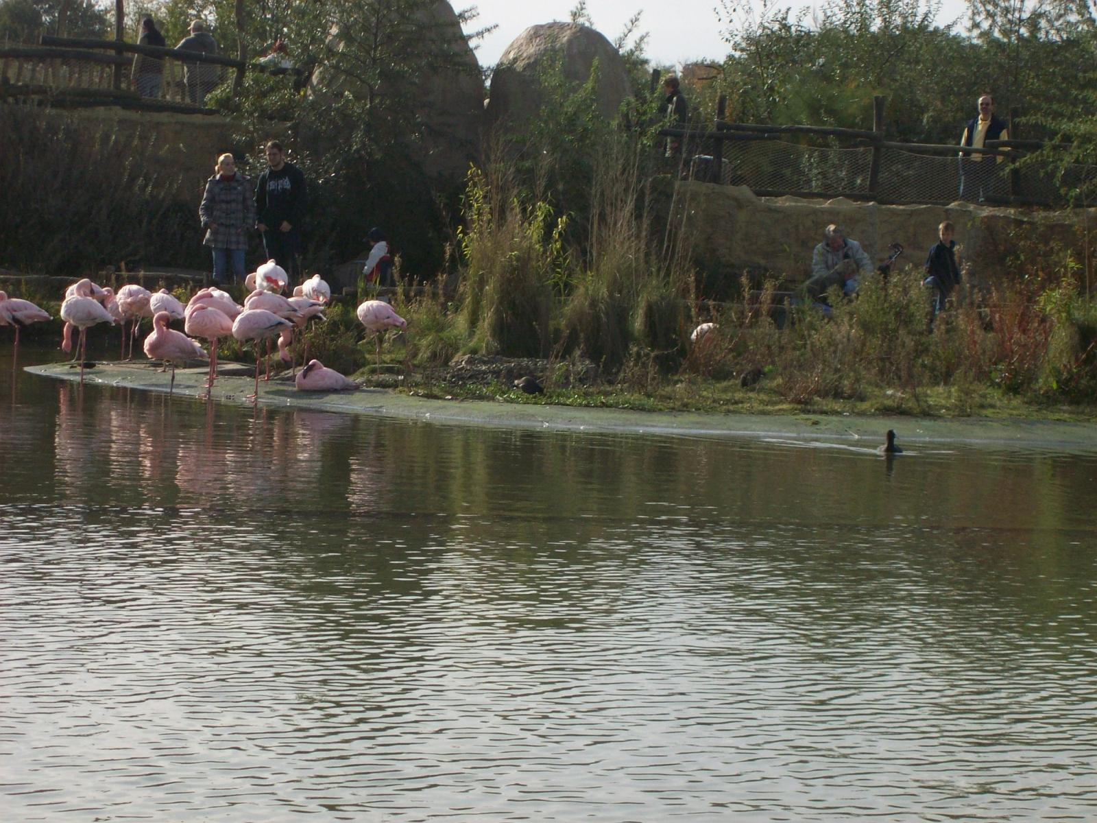 Zoom 18.10.2008-135.jpg